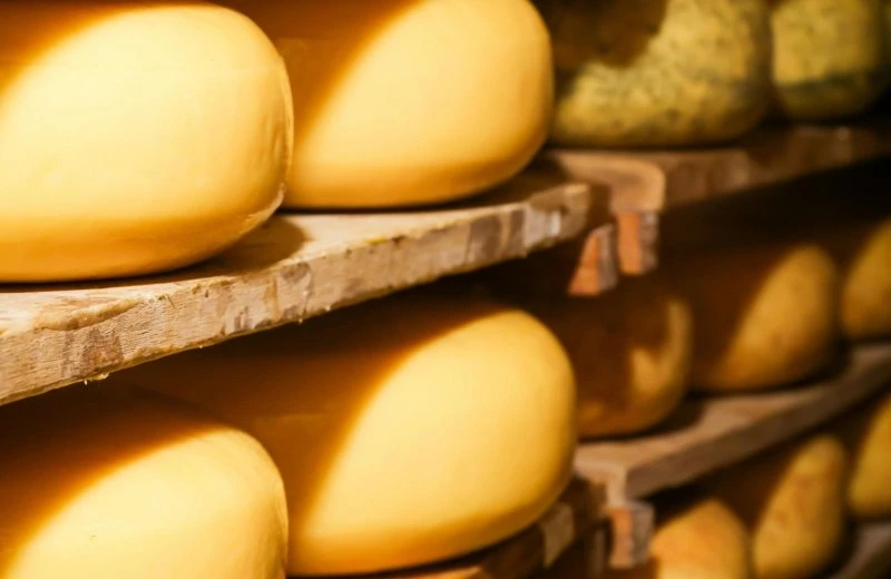 Kaasboerderij 'Harmienehoeve'