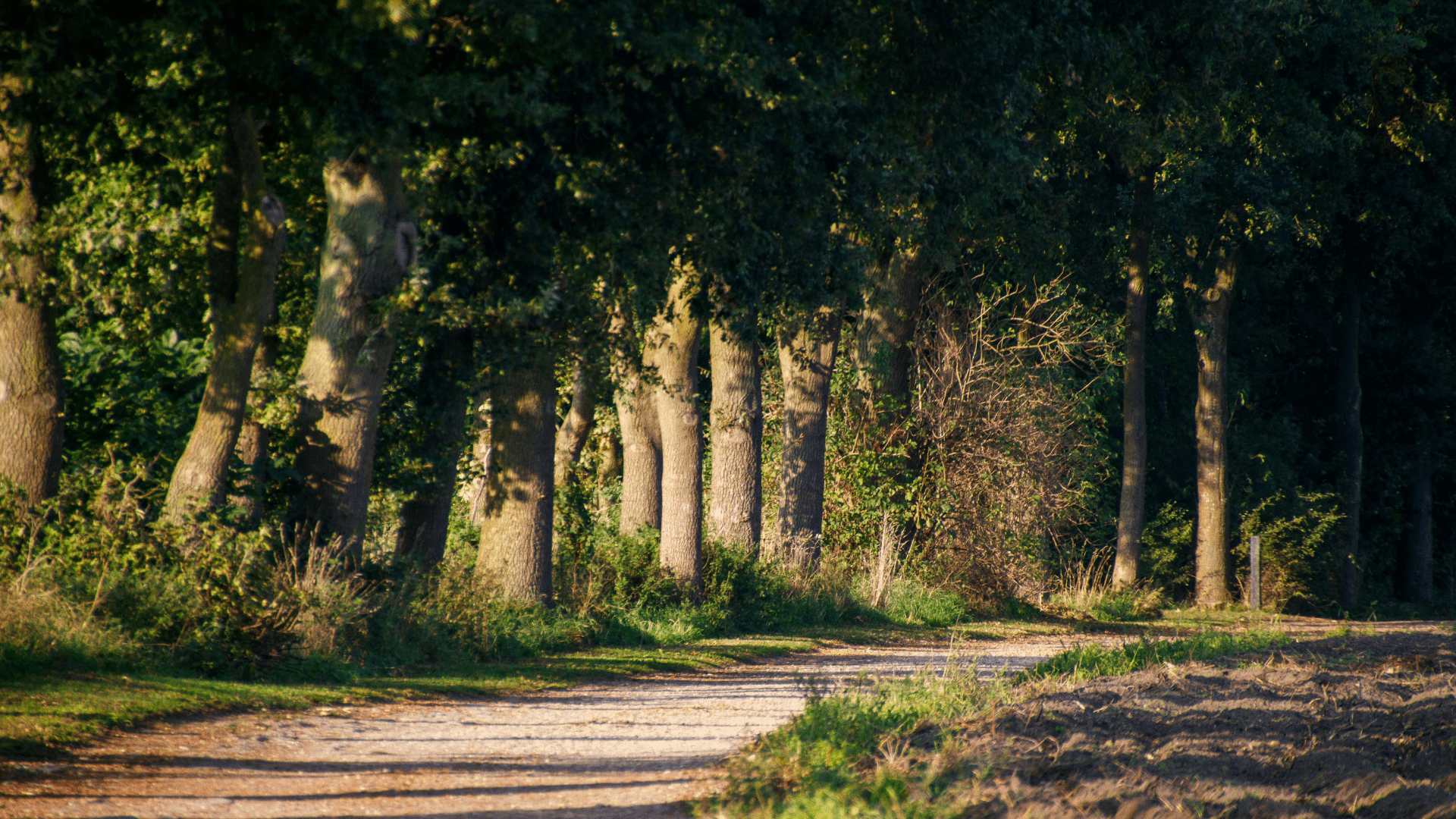 Nationale landschappen rond Winterswijk