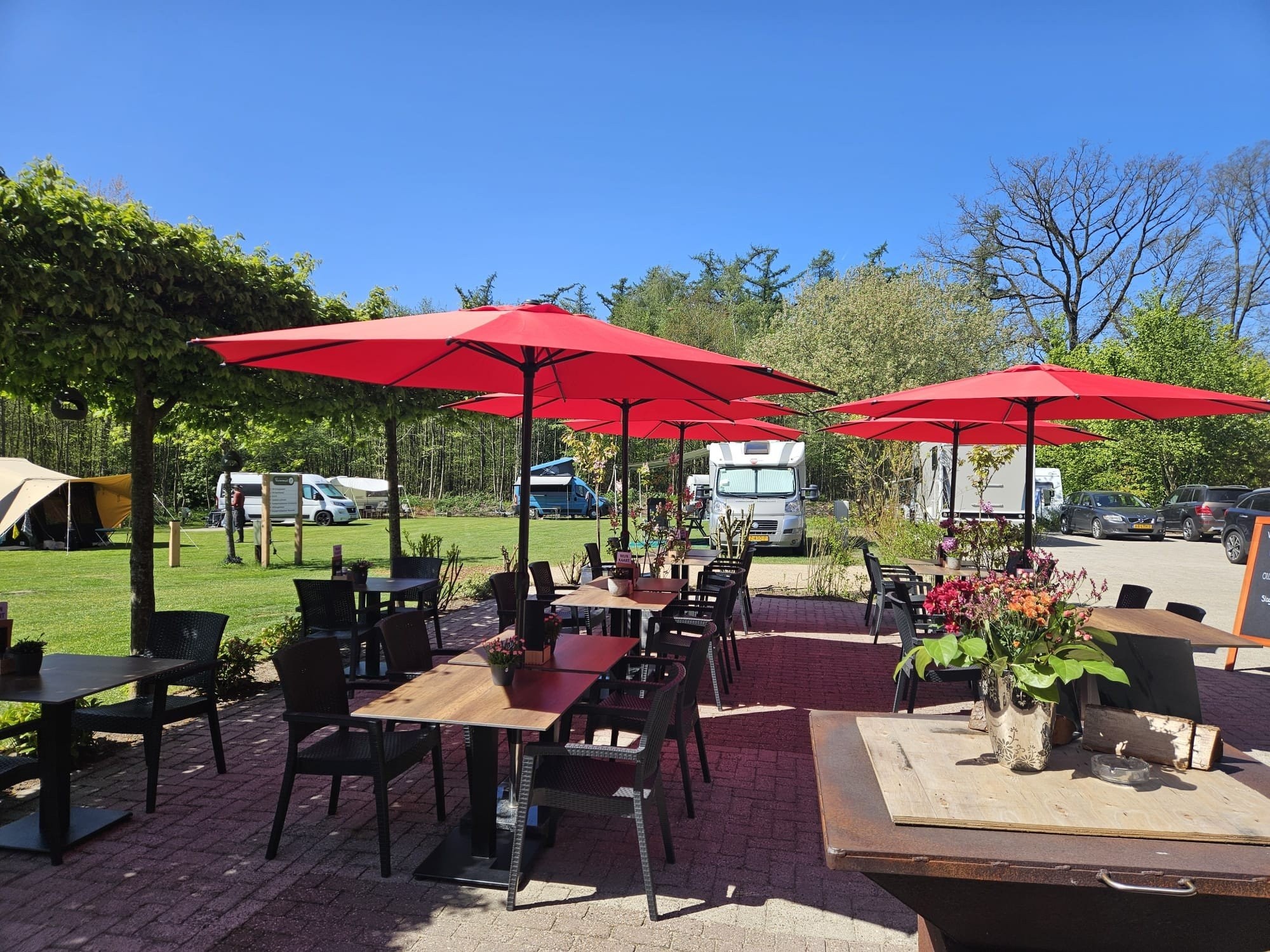 Terras zon