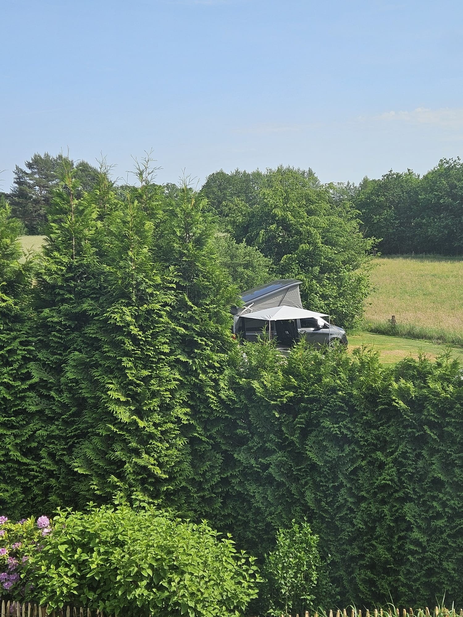 Weidezicht